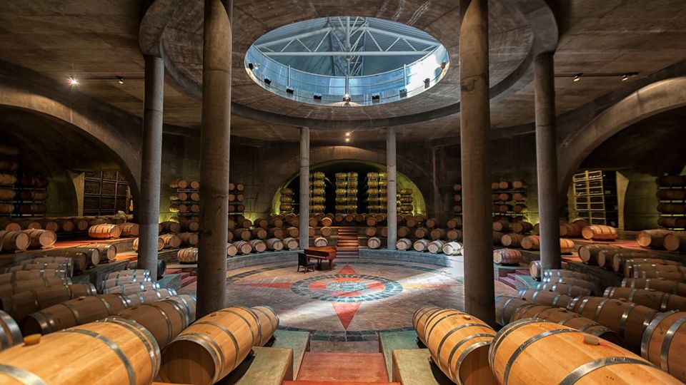 Degustação De Vinhos E Almoço No Vale Do Uco foto 3