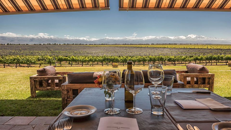 Degustação De Vinhos E Almoço No Vale Do Uco foto 7