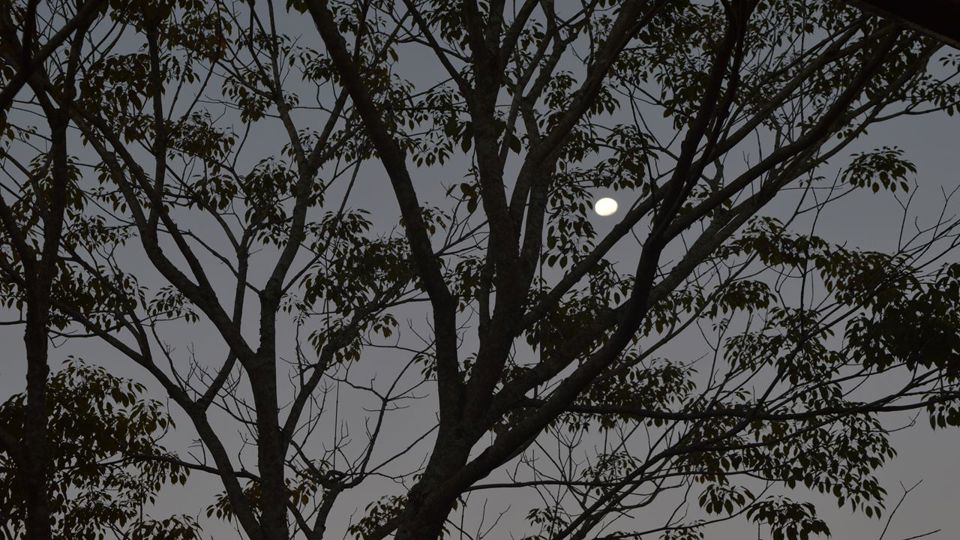 Cataratas Del Iguazu Con Luna Llena foto 2