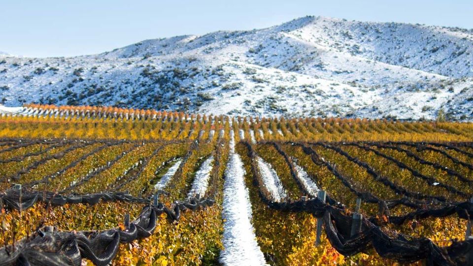 Catena Zapata Cata De Vinos foto 6