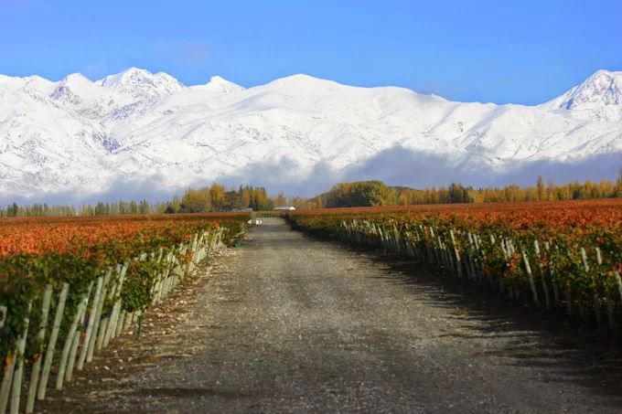 Catena Zapata Cata De Vinos foto 3
