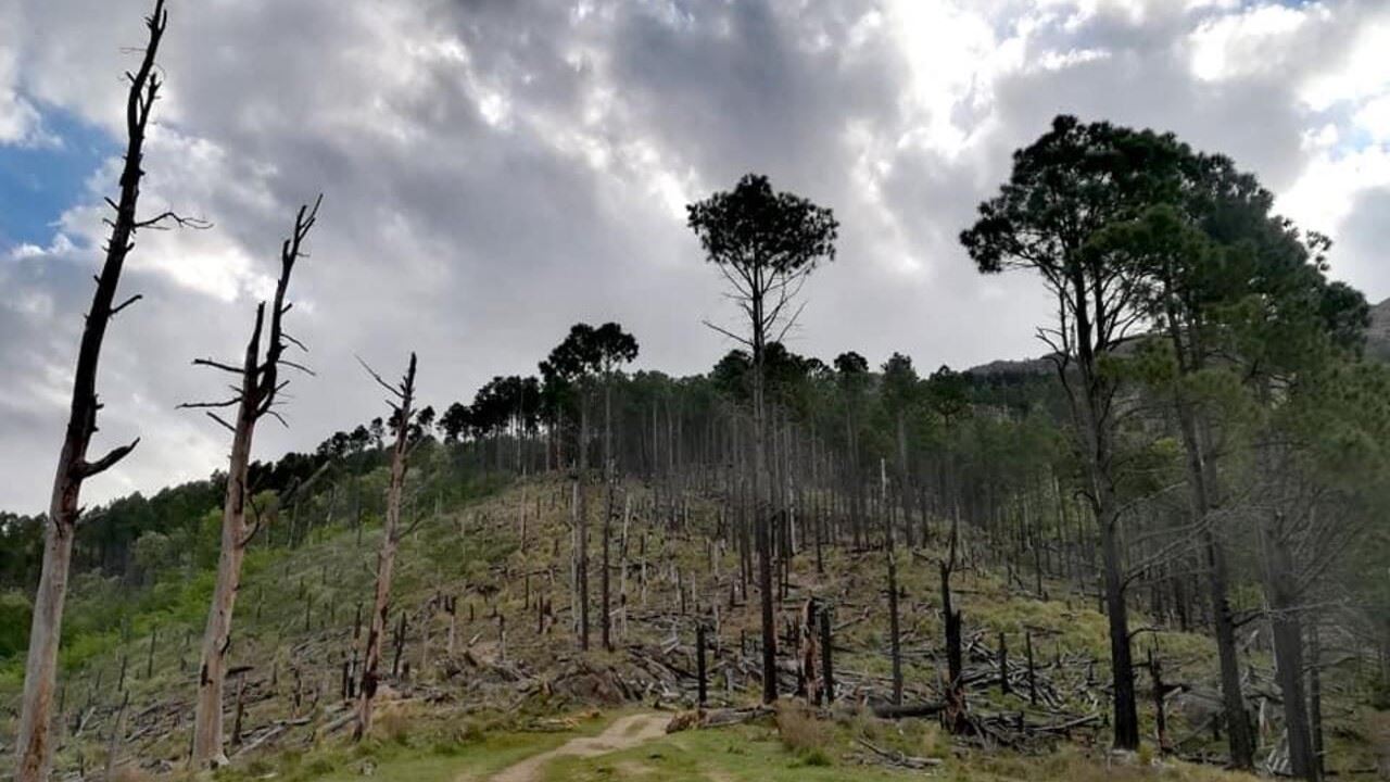 Colline De Champaqui foto 8
