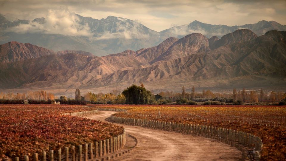 City Tour In Mendoza With Private Lunch foto 2