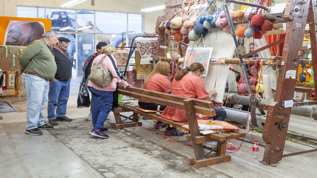 Private City Tour (3)