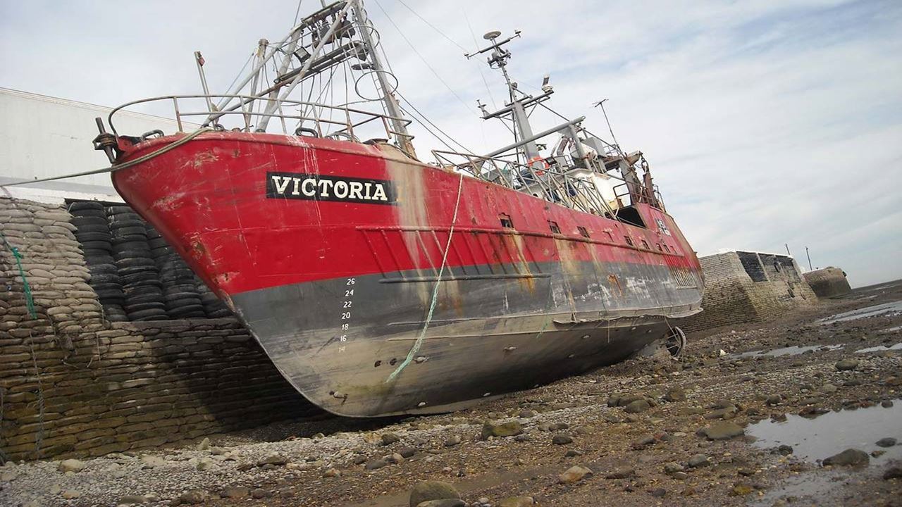 City Tour Las Grutas & Puerto De San Antonio foto 3