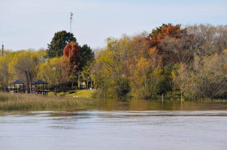 Delta Tigre Com Brunch foto 3