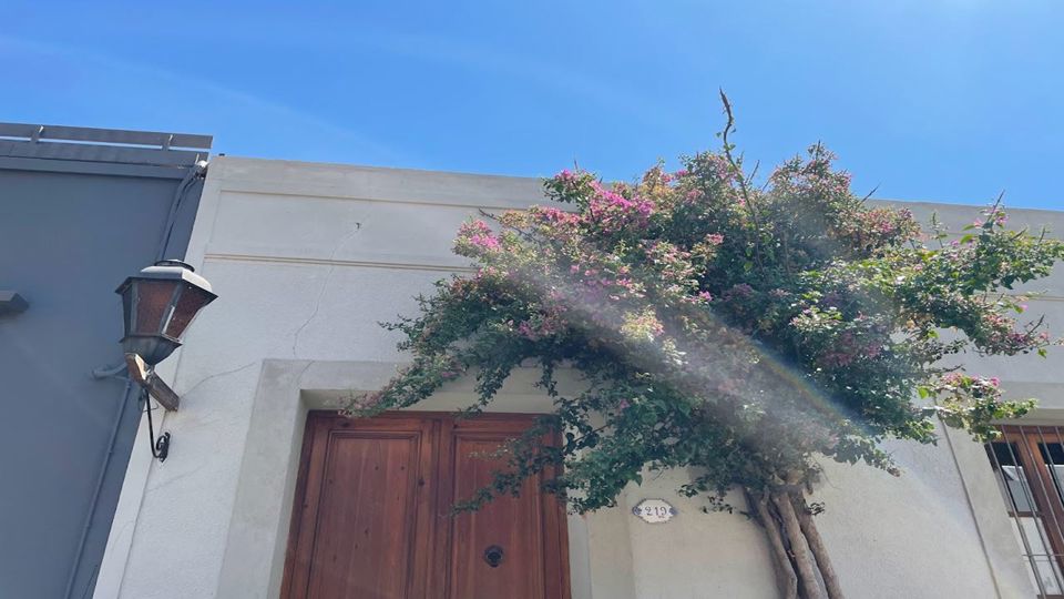 Dia Inteiro Em Colônia Del Sacramento foto 7