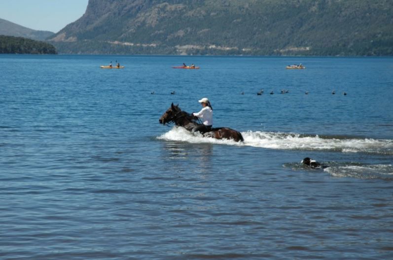 Dia De Estancia En Peuma Hue foto 9