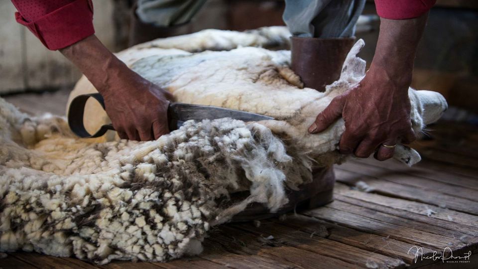 Fique 25 De Maio foto 10