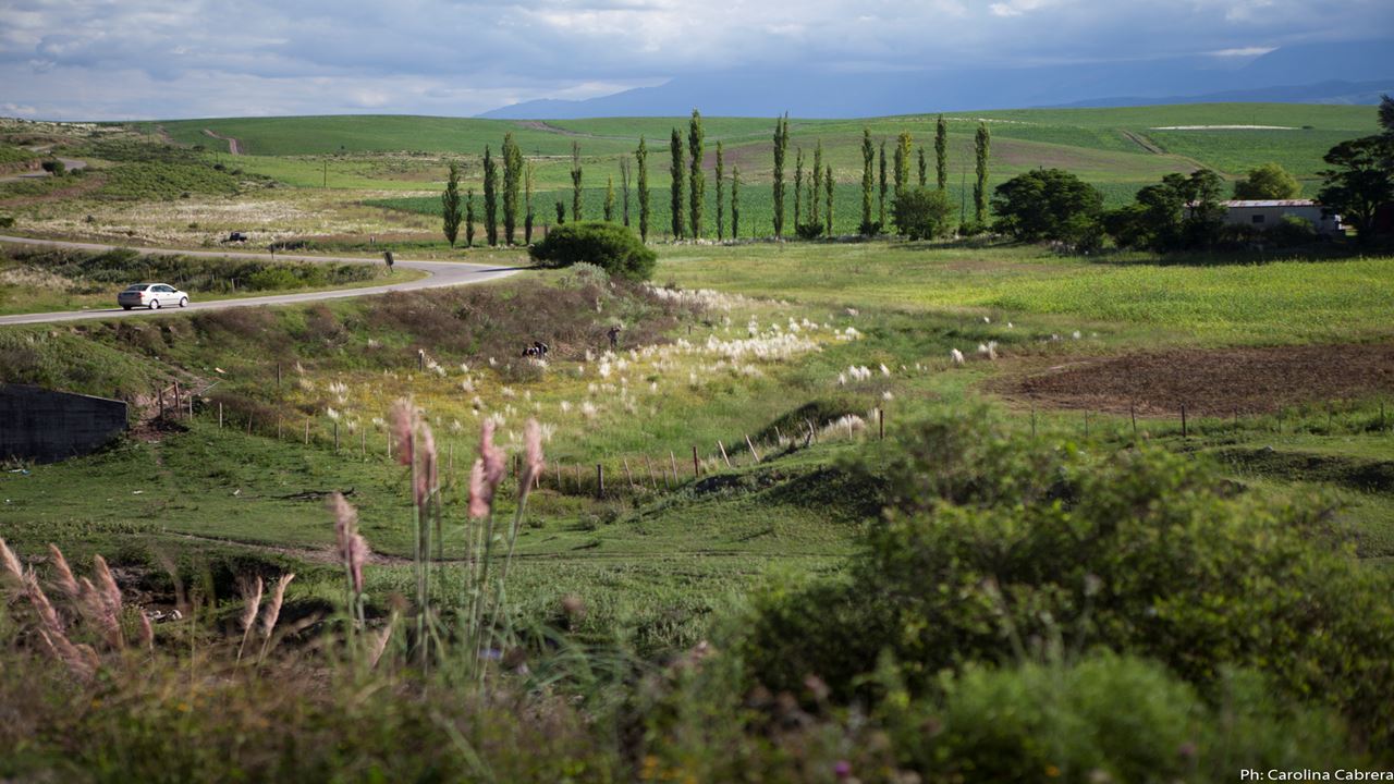 Excursion To Balcozna And Cuesta De Singuil (2)
