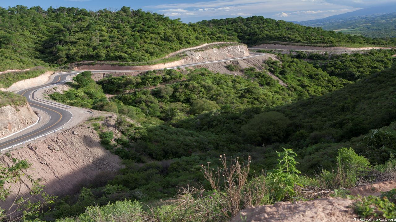 Excursion To Balcozna And Cuesta De Singuil (3)
