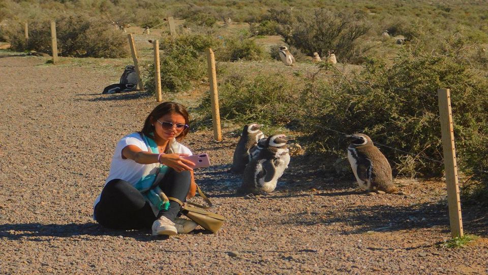 Excursão A Punta Tombo Em Puerto Madryn Para Passageiros De Cruzeiro foto 4