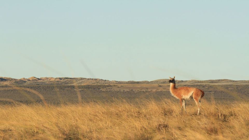 Península Privada Valores Excursão foto 4