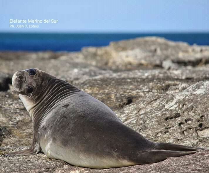Península Privada Valores Excursão foto 3