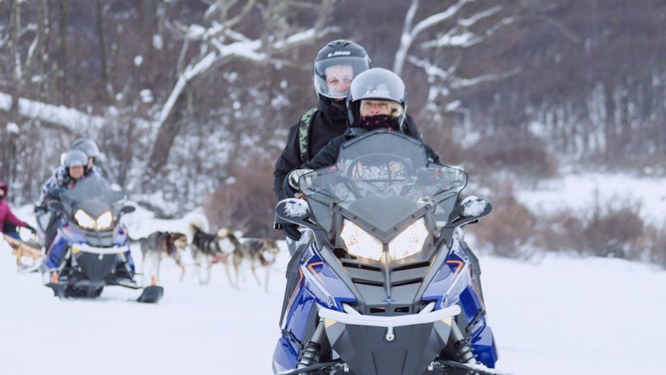 Experiencia Antártica foto 6