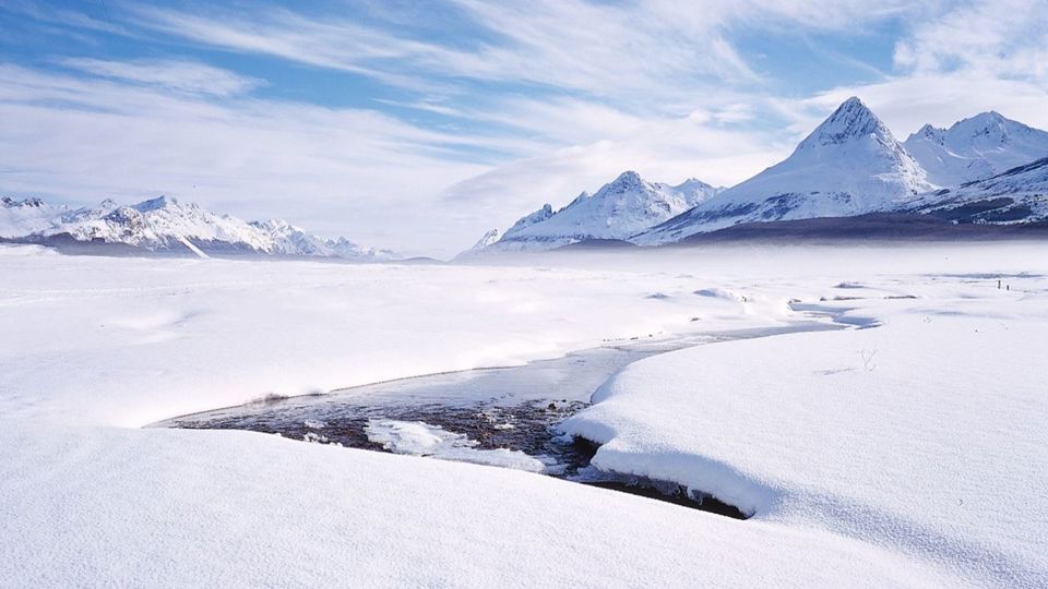 Experiencia Antártica foto 11