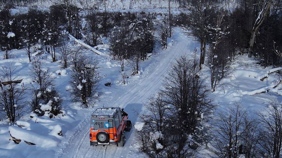 Experiencia Antártica foto 4