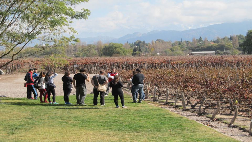 Experiência De Vinhos Em Luján De Cuyo – Grupos Reduzidos foto 2