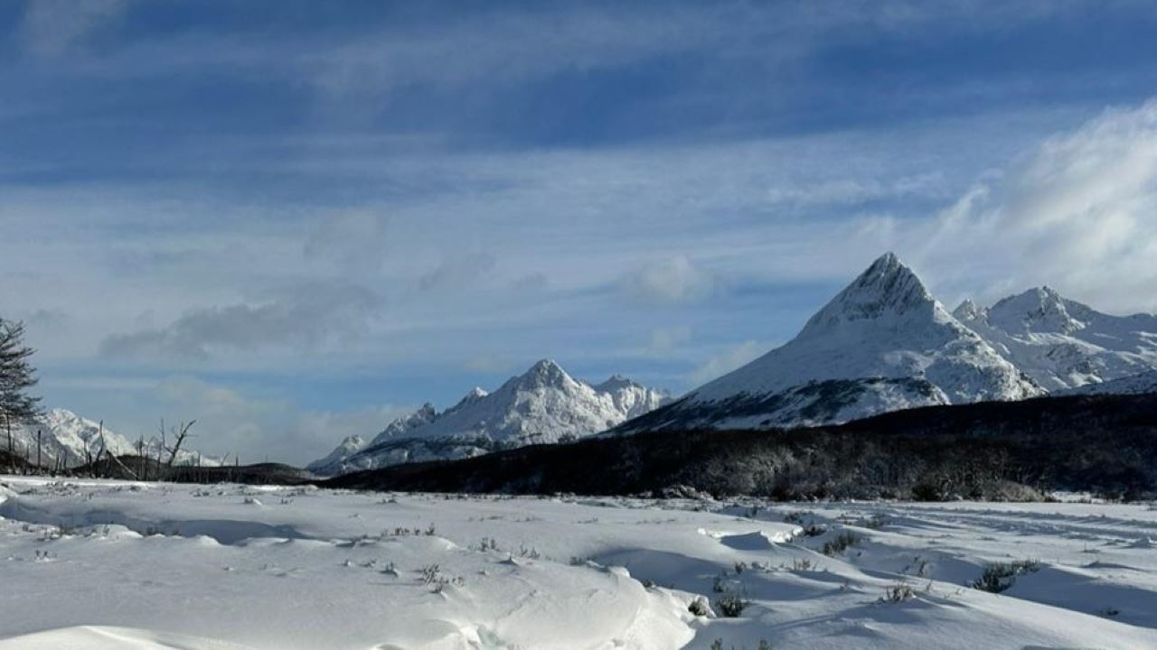 Full-day Winter Experience With Huskies, Snowshoes, And Snowmobile (5)