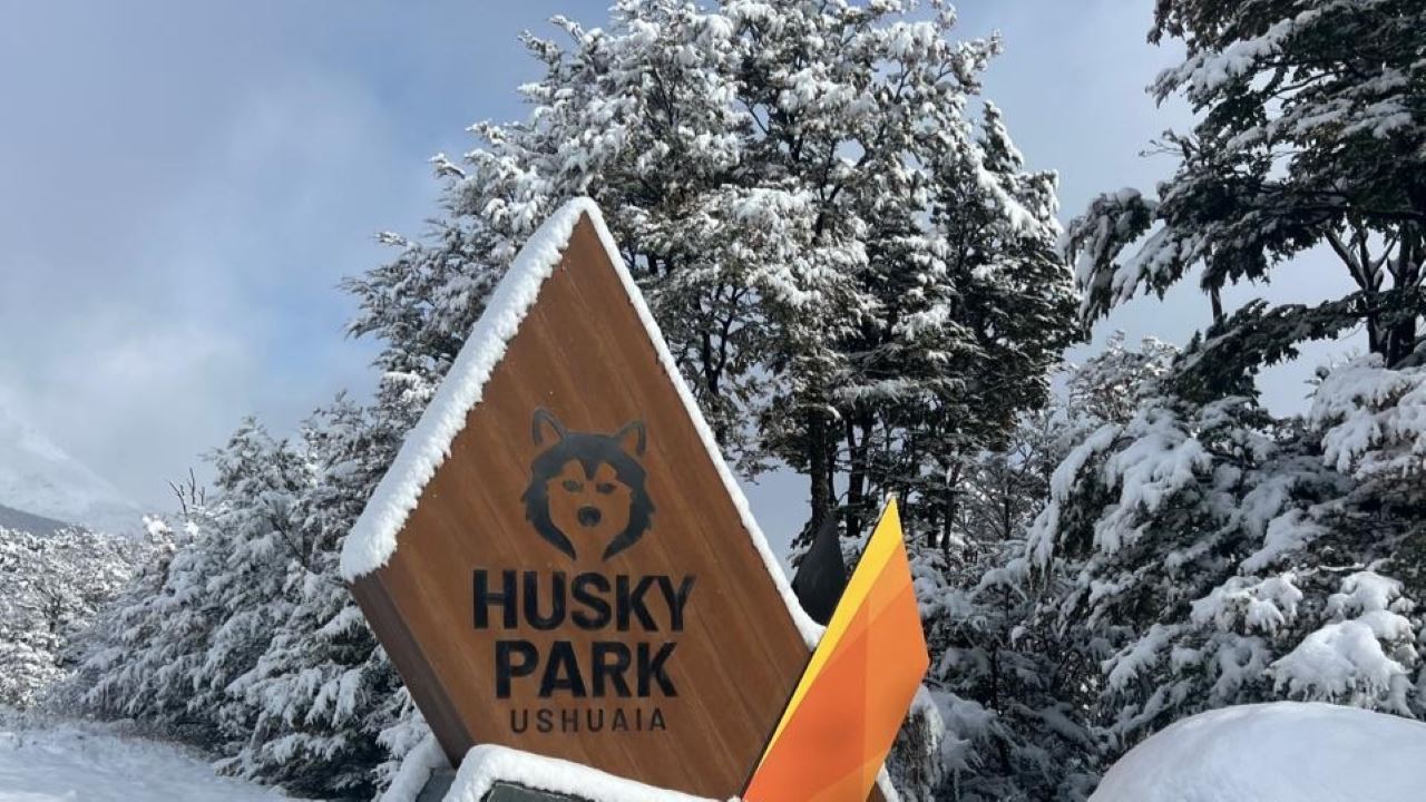 Full-day Winter Experience With Huskies, Snowshoes, And Snowmobile (4)