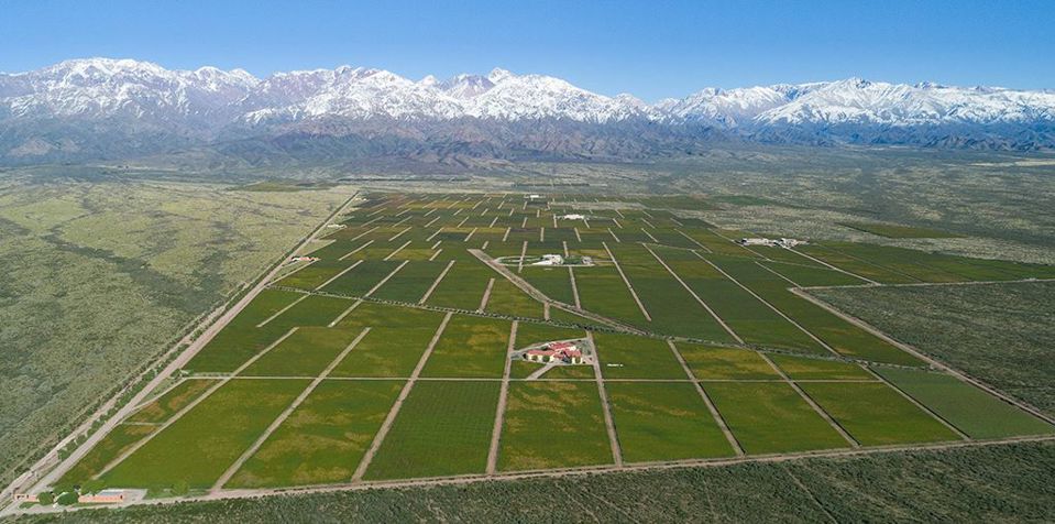 Clos De Los Siete Degustação Vinhos Tour foto 1
