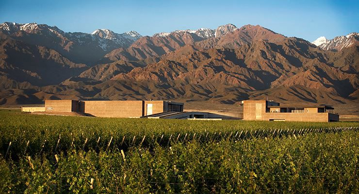 Clos De Los Siete Degustação Vinhos Tour foto 2