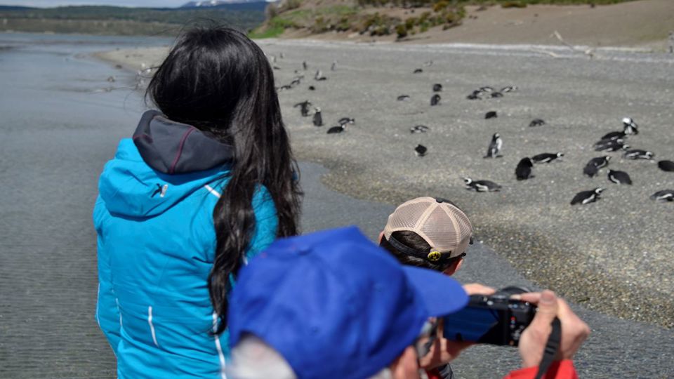 Isla Gable Y Avistaje De Pinguinos foto 7