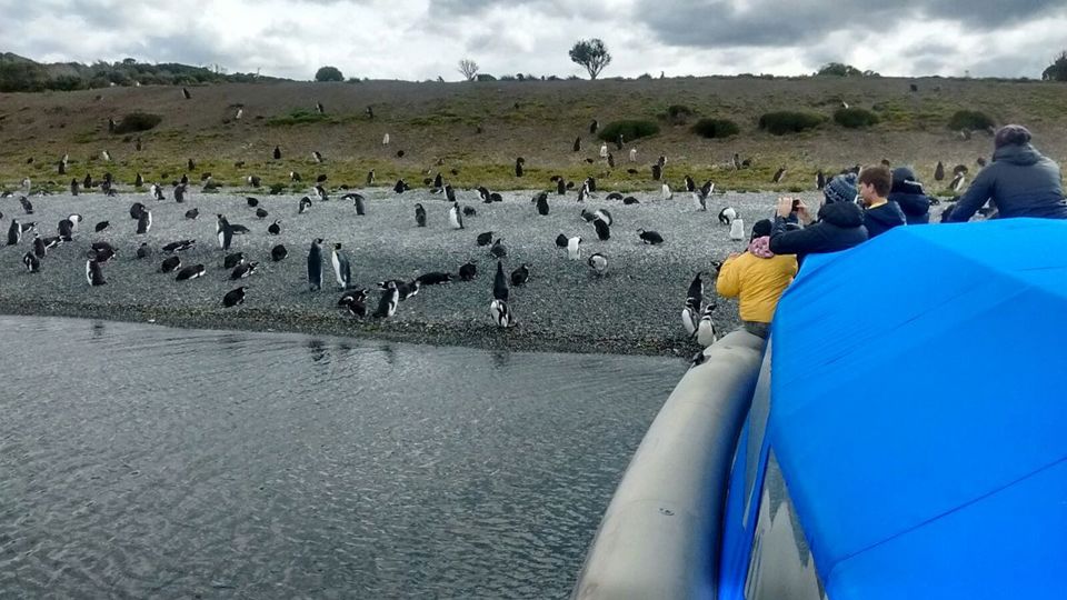 Isla Gable Y Avistaje De Pinguinos foto 6