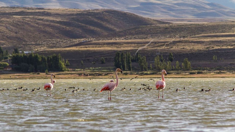 Kayak En El Calafate foto 3