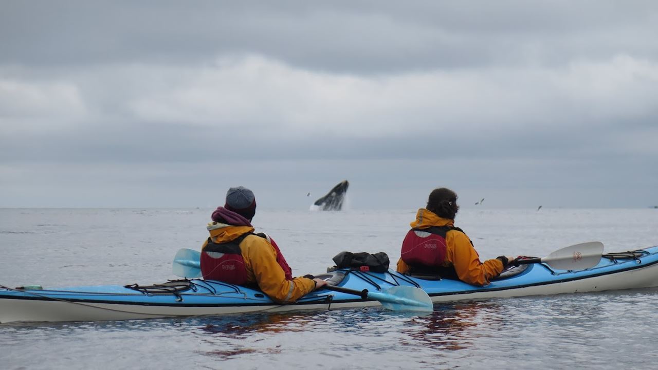 Kayak Through San Jose Gulf foto 2