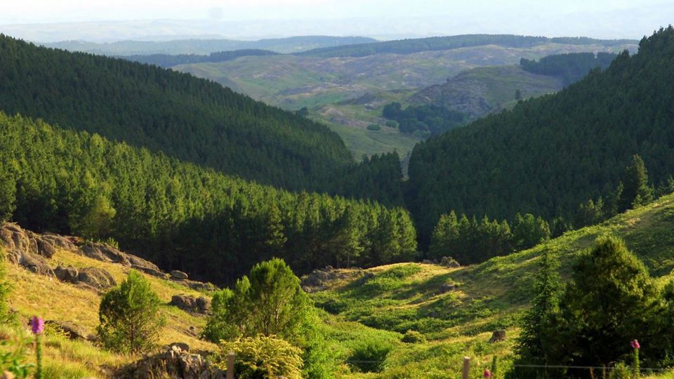 La Cumbrecita Y Villa General Belgrano foto 2