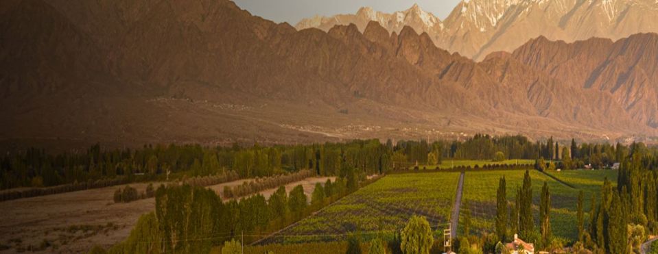 Luigi Bosca Almuerzo Y Cata De Vinos foto 5