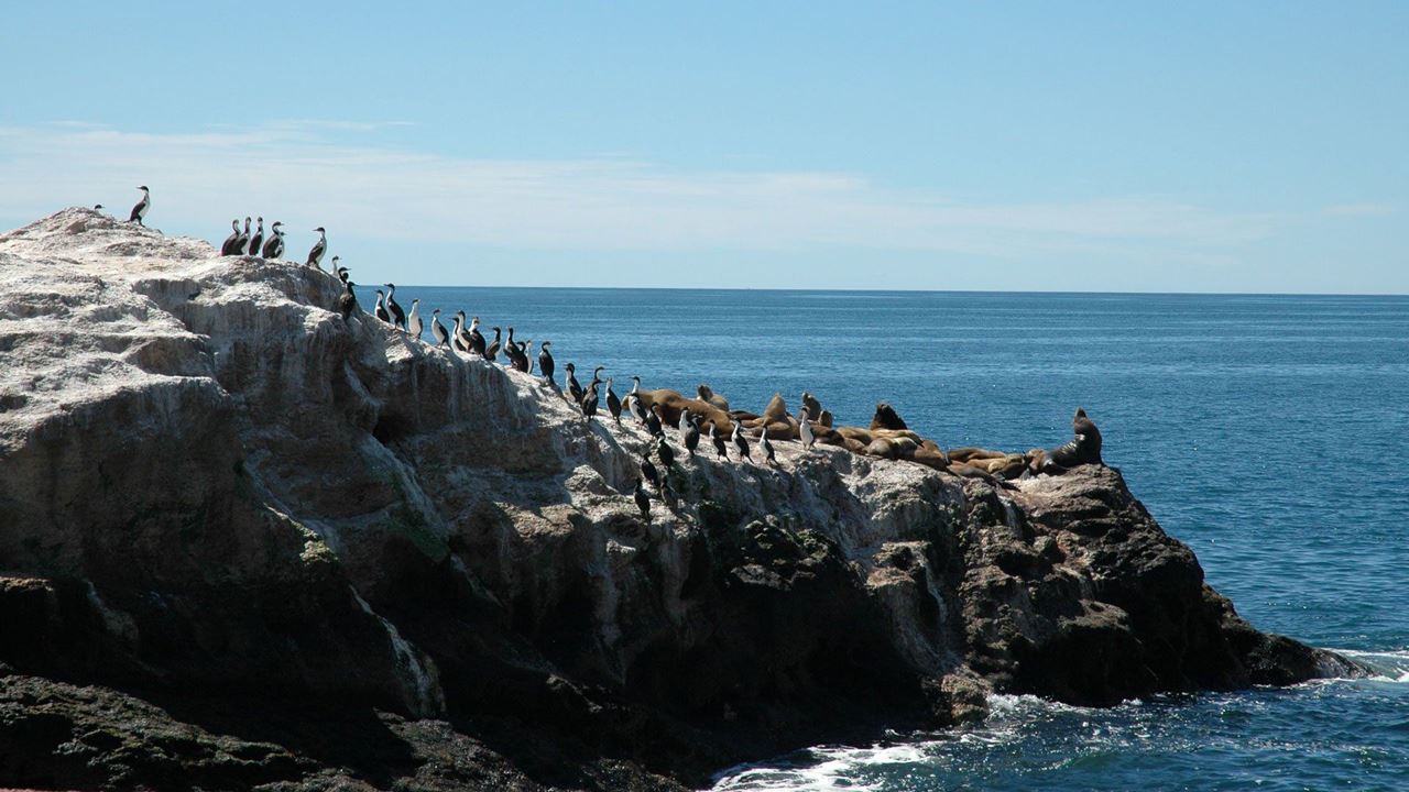 Madryn & Península Valdés foto 4