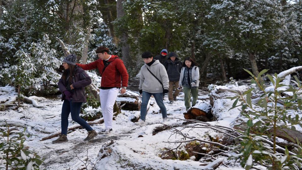 Caminhada Espírita De Maio foto 3