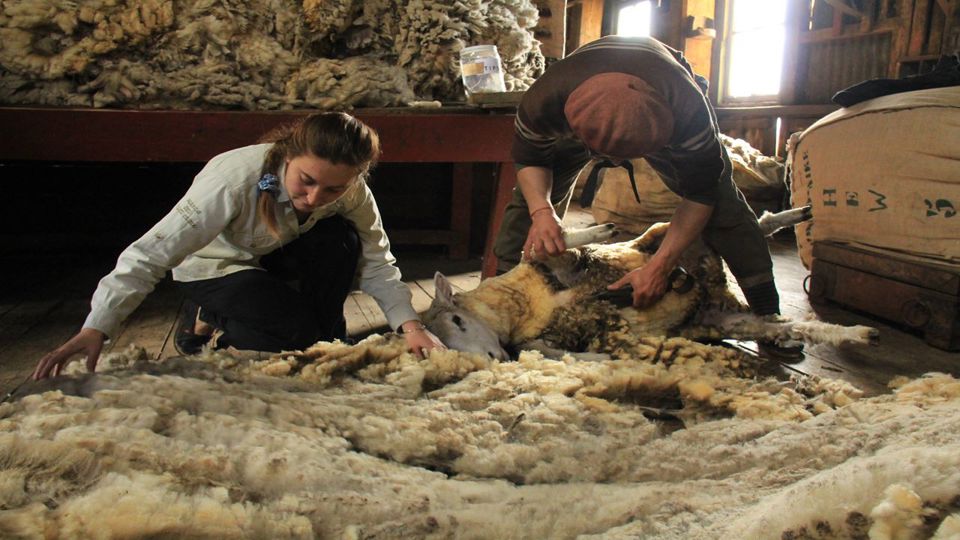Meio Dia No Campo Na Estancia Nibepo Aike foto 13