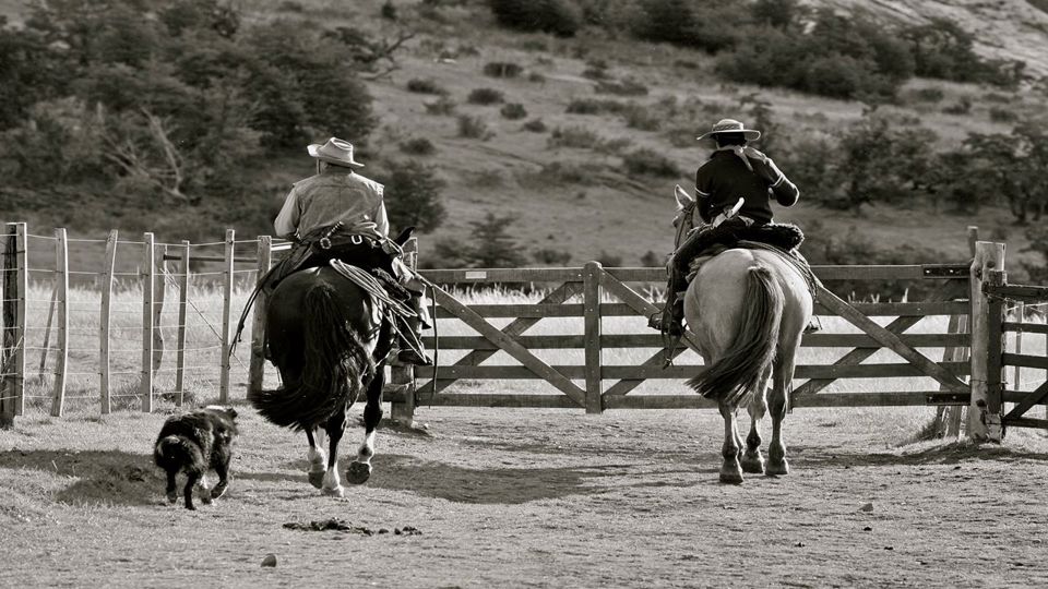 Meio Dia No Campo Na Estancia Nibepo Aike foto 3
