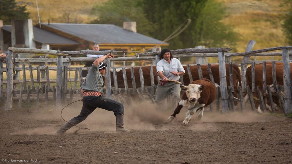 Meio Dia No Campo Na Estancia Nibepo Aike foto 15
