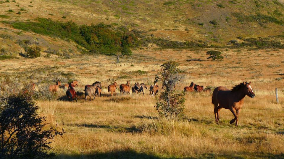Meio Dia No Campo Na Estancia Nibepo Aike foto 2