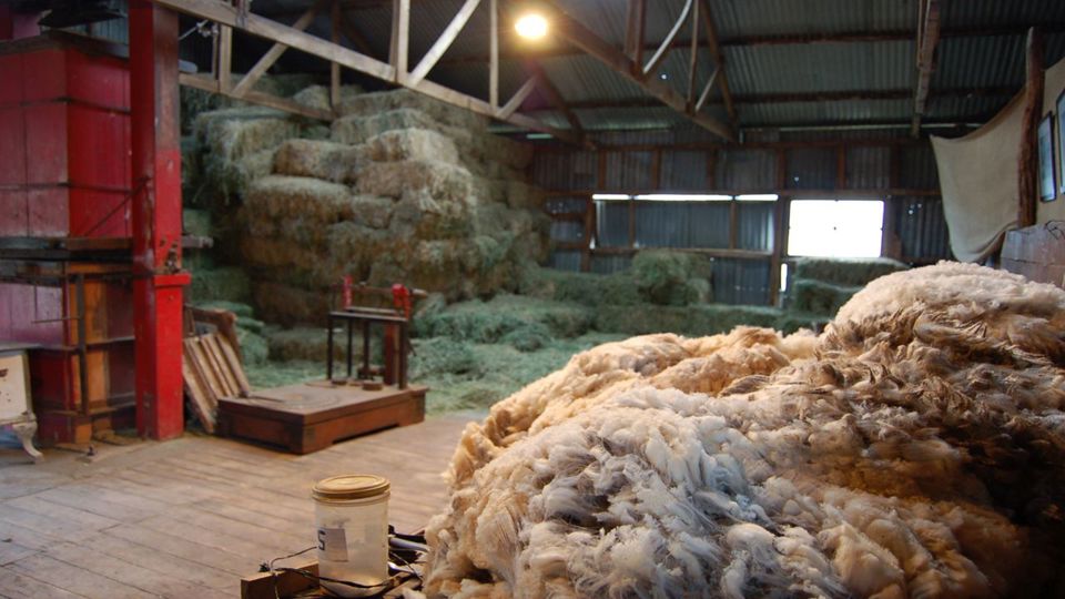 Meio Dia No Campo Na Estancia Nibepo Aike foto 4