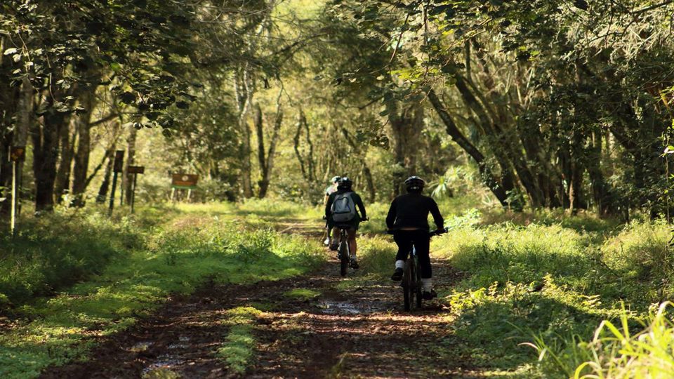 Mountain Bike Through Iguazu National Park foto 4