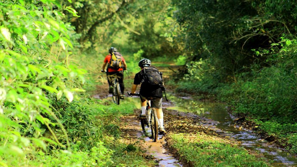 Mountain Bike Through Iguazu National Park foto 2