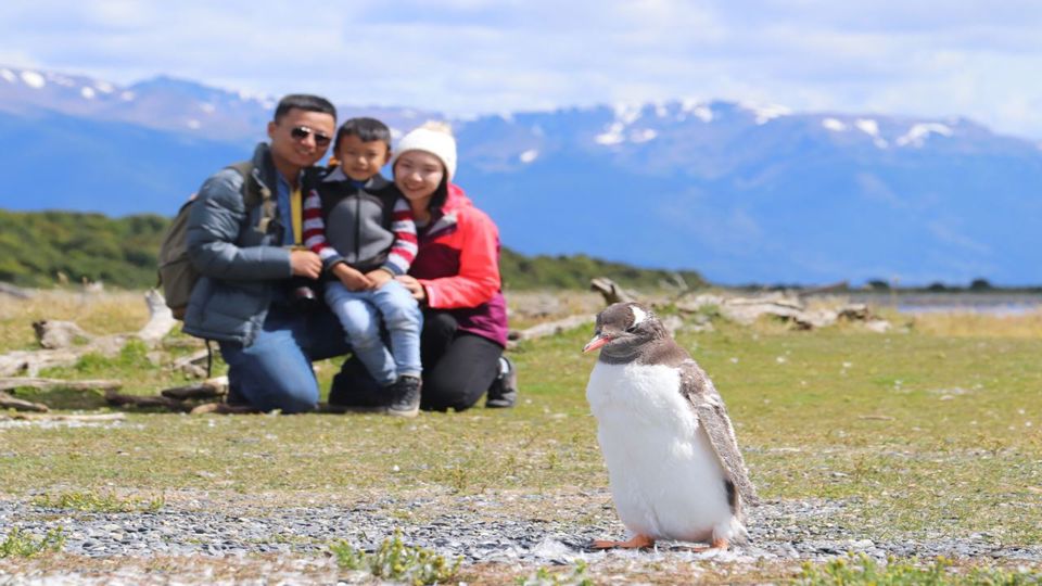 Navegación Canal De Beagle Y Caminata Con Pinguinos En Isla Martillo
 foto 1