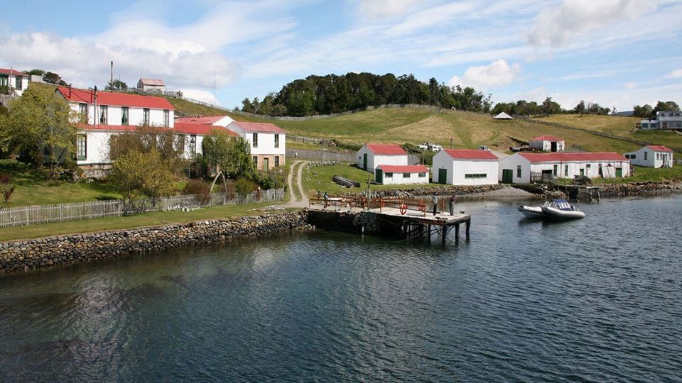 Navegación Canal De Beagle Y Caminata Con Pinguinos En Isla Martillo
 foto 10