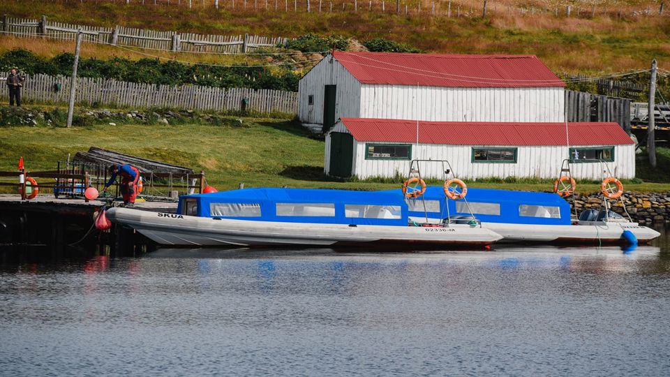 Navegación Canal De Beagle Y Caminata Con Pinguinos En Isla Martillo
 foto 6