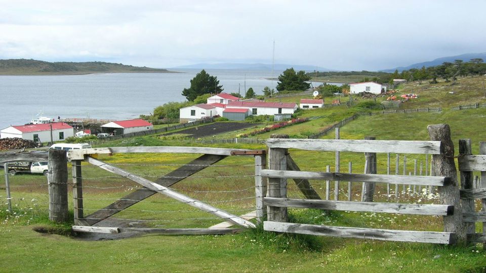 Navegación Canal De Beagle Y Caminata Con Pinguinos En Isla Martillo
 foto 9