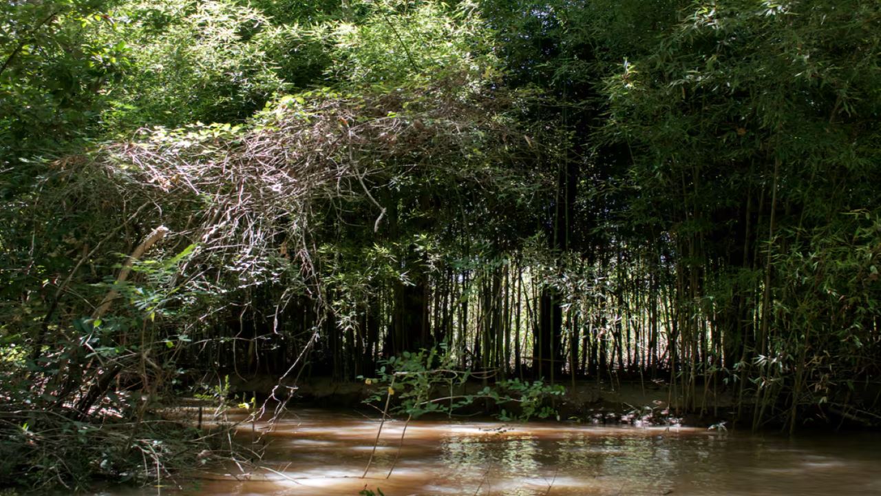 Private Navigation In The Delta foto 5