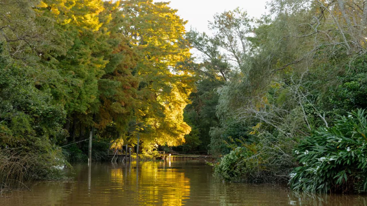 Private Navigation In The Delta foto 3