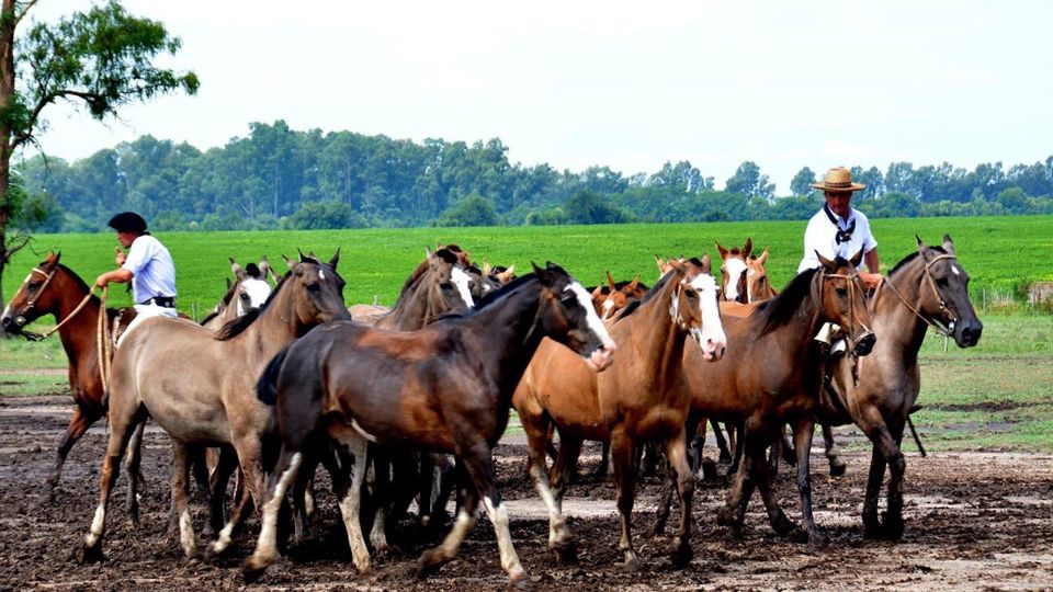 Oferta: Delta Del Tigre + Fiesta Gaucha foto 5