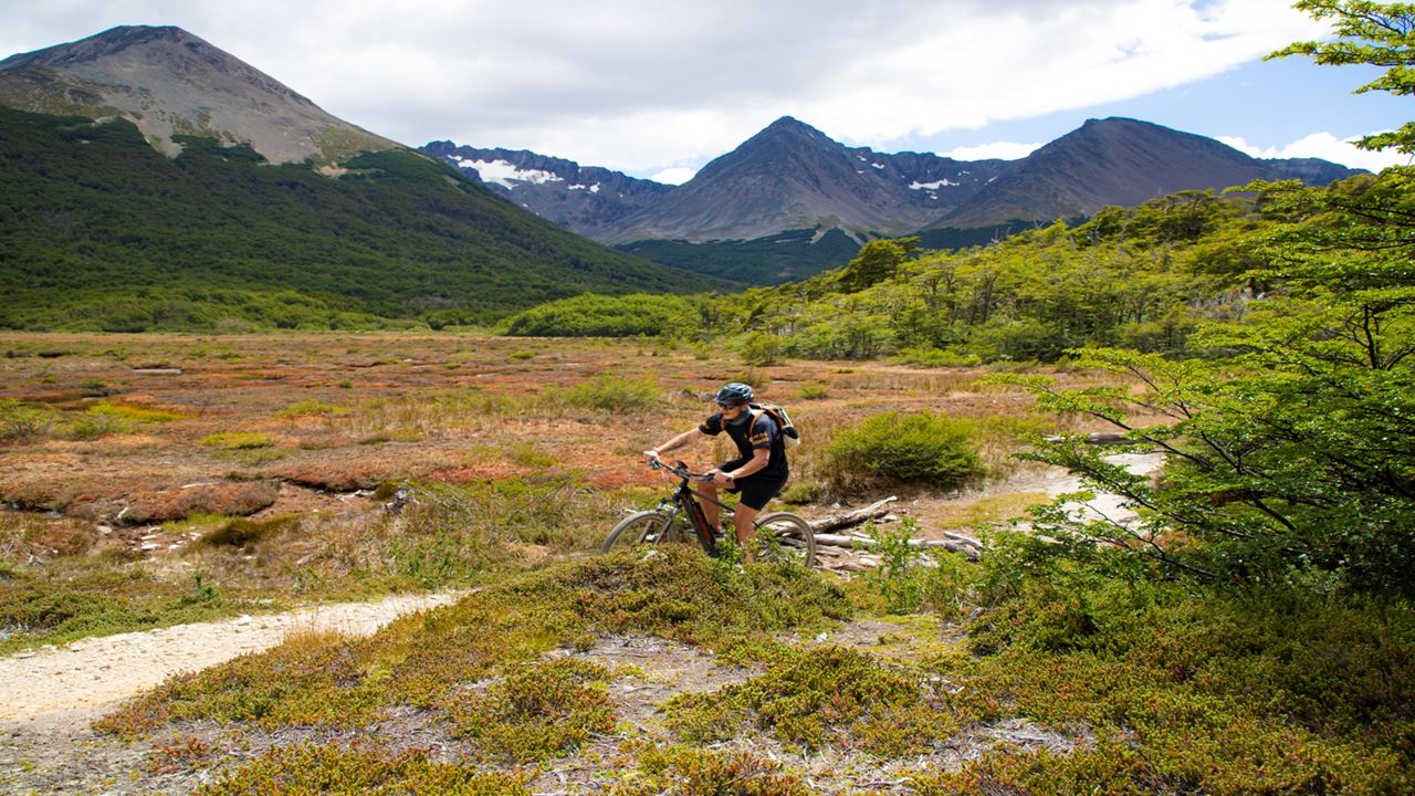 Electric Bike Tour Beagle View Point (10)