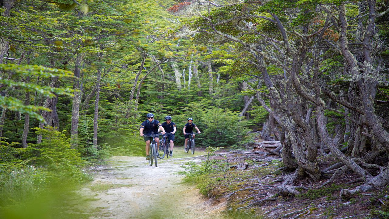 Electric Bike Tour Beagle View Point (7)